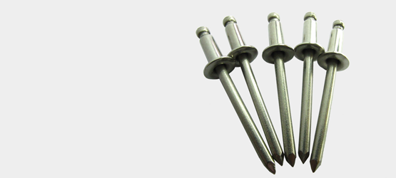 RIVETS