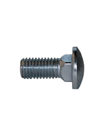 Carriage Bolt