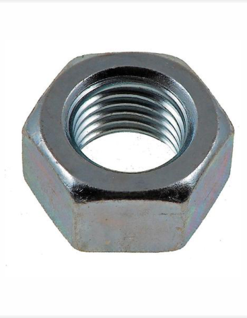 Hex Nut